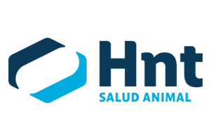 HNT